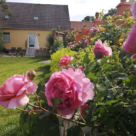 Strandhaus Mariflor Brook Exterior foto
